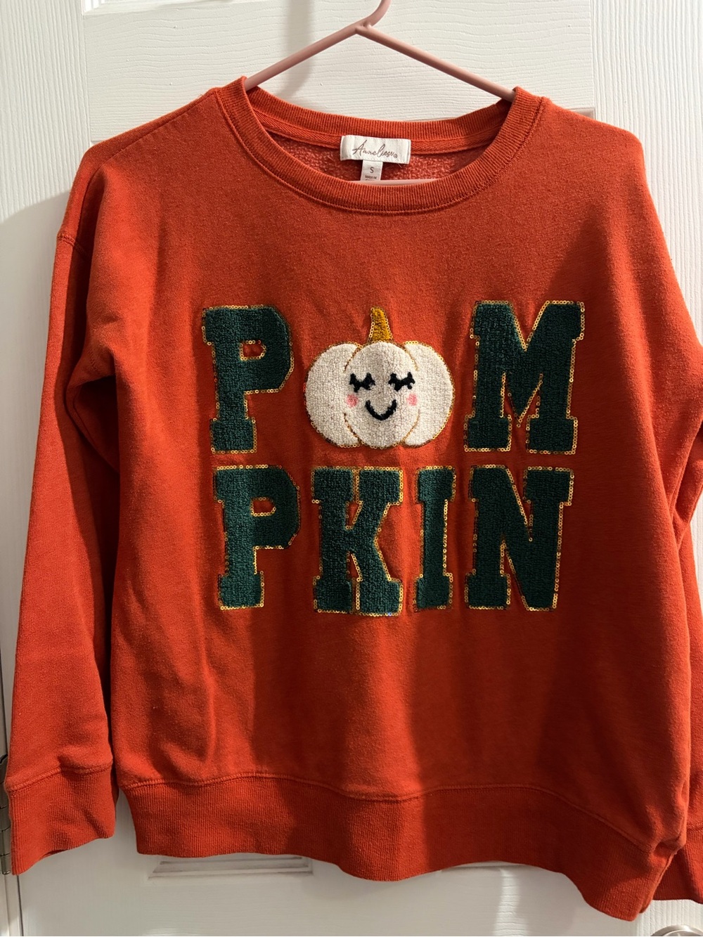 Anneliese  Burnt Orange Knit Crewneck Sweater